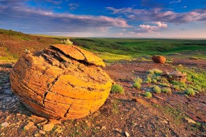 "Orange" Because it looks like one! Red Rock Coulee Natural Area