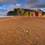 Golden Light at Karekare Beach