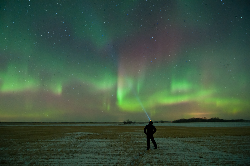 The aurora over a snow covered field tofield