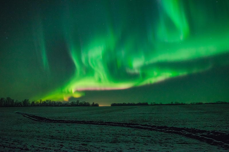 Aurora dancing north of Edmonton 