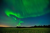 Aurora near Elk Island National Park